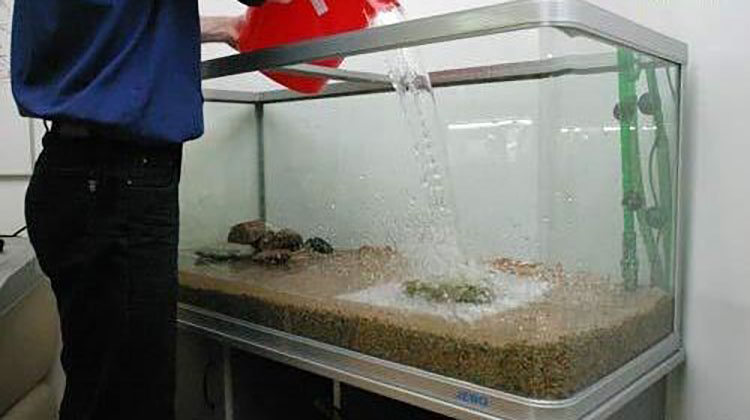 Промывка аквариума